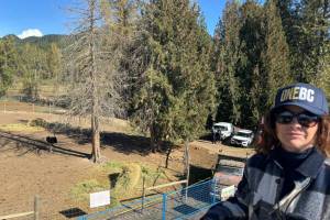 MLA Dallas Brodie in October at the Universal Ostrich Farm in Edgewood, B.C. (Photo courtesy Dallas Brodie)